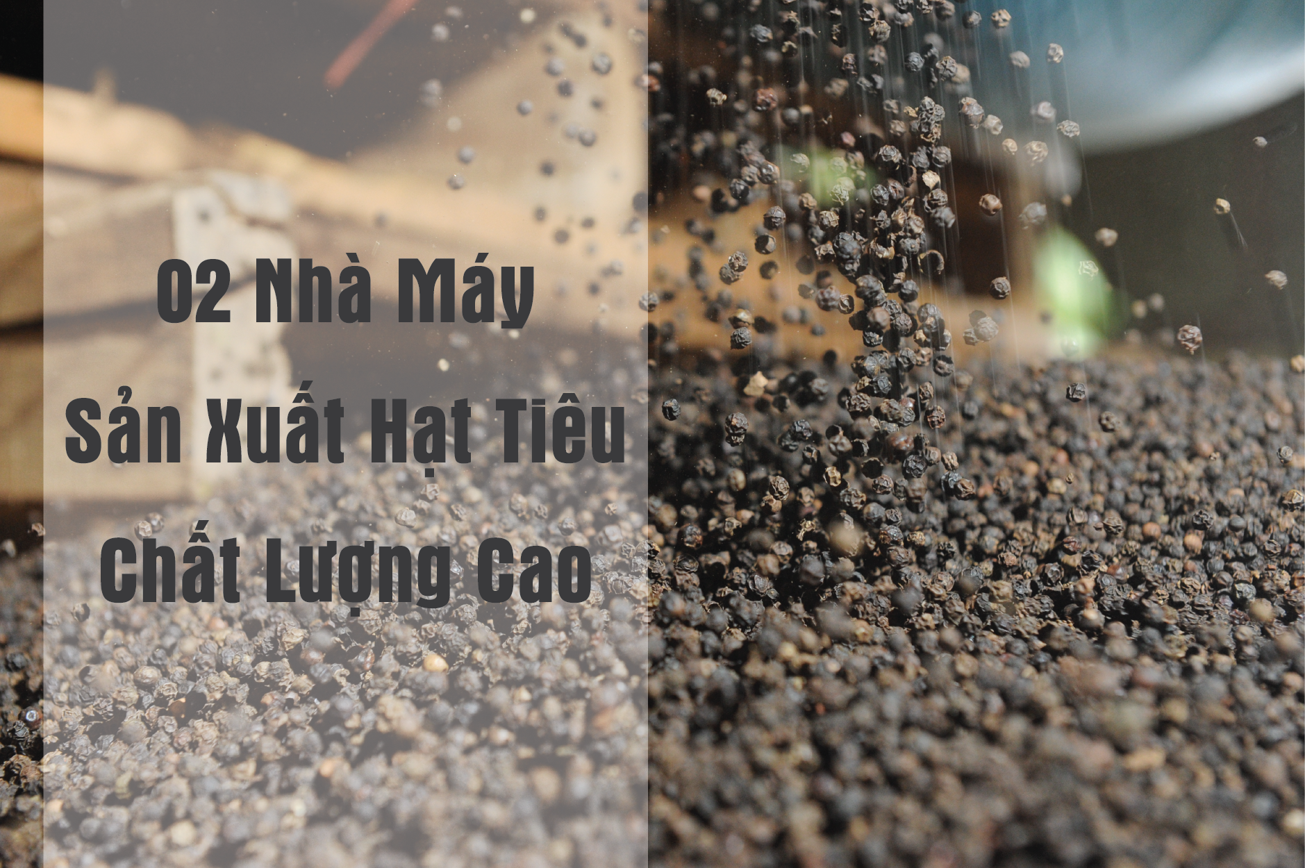 Nhà máy chế biến Tiêu chất lượng cao