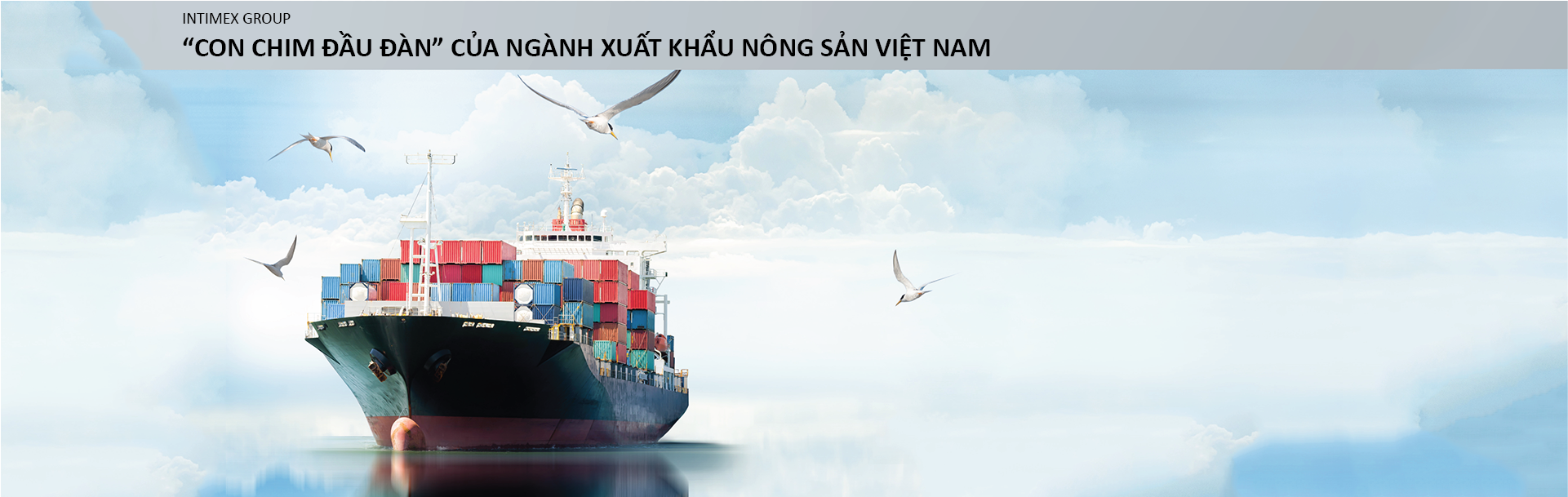 intimexgroupBanner-02-01