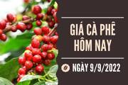 Giá cà phê 090922