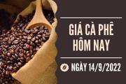 Giá cà phê robusta
