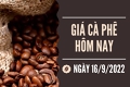 Gia cà phê hom nay