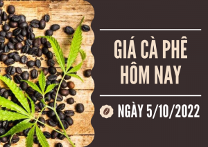 Giá cà phê Viet Nam