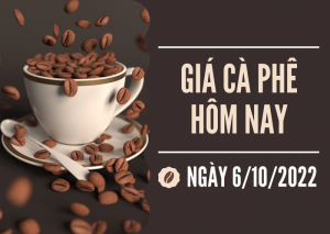 tinh hinh gia ca phê