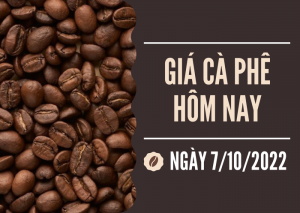 Gia cà phê kỳ hạn Intimex group