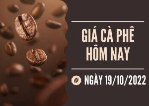 Giá cà phê