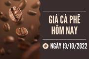 Gia ca pha ngay 20-10
