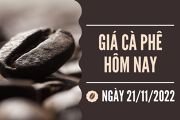 Tin chuyen nganh ca phe 21-11-2022