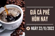 Tin chuyên ngành cà phê ngày 22-11-2022