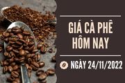 Gia ca phe trong nuoc ngay 24-11-2022