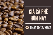 Gia ca phe ky han 08-12-2022