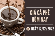 Tinh hinh gia ca phe ngay 12-12-2022