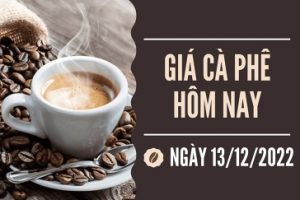 Tin chuyen nganh ca phe