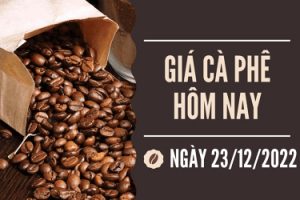 221223IntimexgroupCaphe