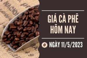 tin chuyen nganh ca phe