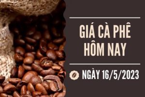 tin chuyen nganh ca phe