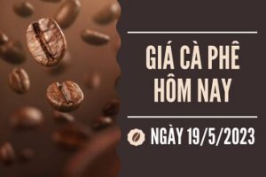 tin chuyen nganh ca phe