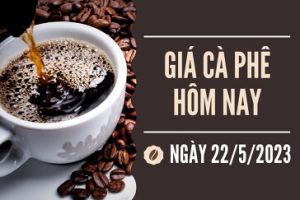 tin chuyen nganh ca phe