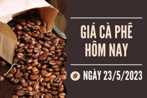 tin chuyen nganh ca phe