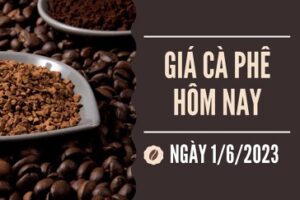 tin chuyen nganh ca phe