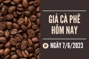 tin chuyen nganh ca phe