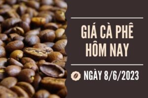 tin chuyen nganh caphe