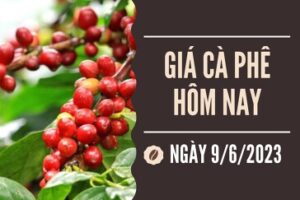 tin chuyen nganh ca phe