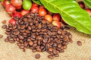 tin chuyen nganh ca phe