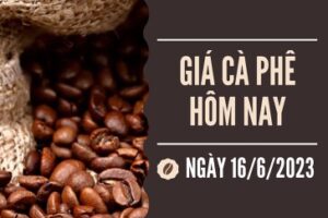 tin chuyen nganh ca phe