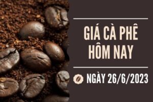 tin chuyen nganh cap he