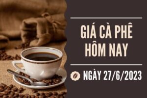 tin chuyen nganh ca phe