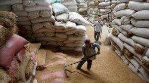 tin chuyen nganh gao