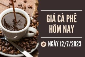 tinh hinh gia ca phê Vn