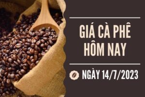 tin chuyen nganh ca phe VN