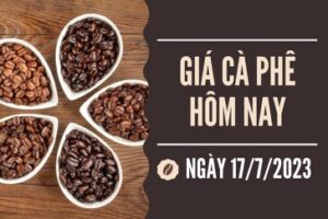 tinh hinh gia ca phê VN