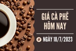 tinh hinh gia ca phê VN