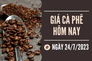 tin chuyen nganh ca phe VN