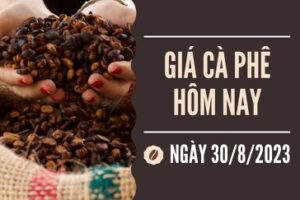 tin chuyen nganh ca phe Viet Nam