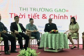 Toa dam lua gao Viet Nam