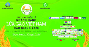 Festival Lua Gao Viet Nam 2023