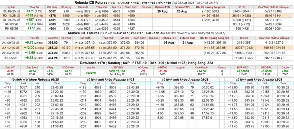 gia caphe san ky han intimex