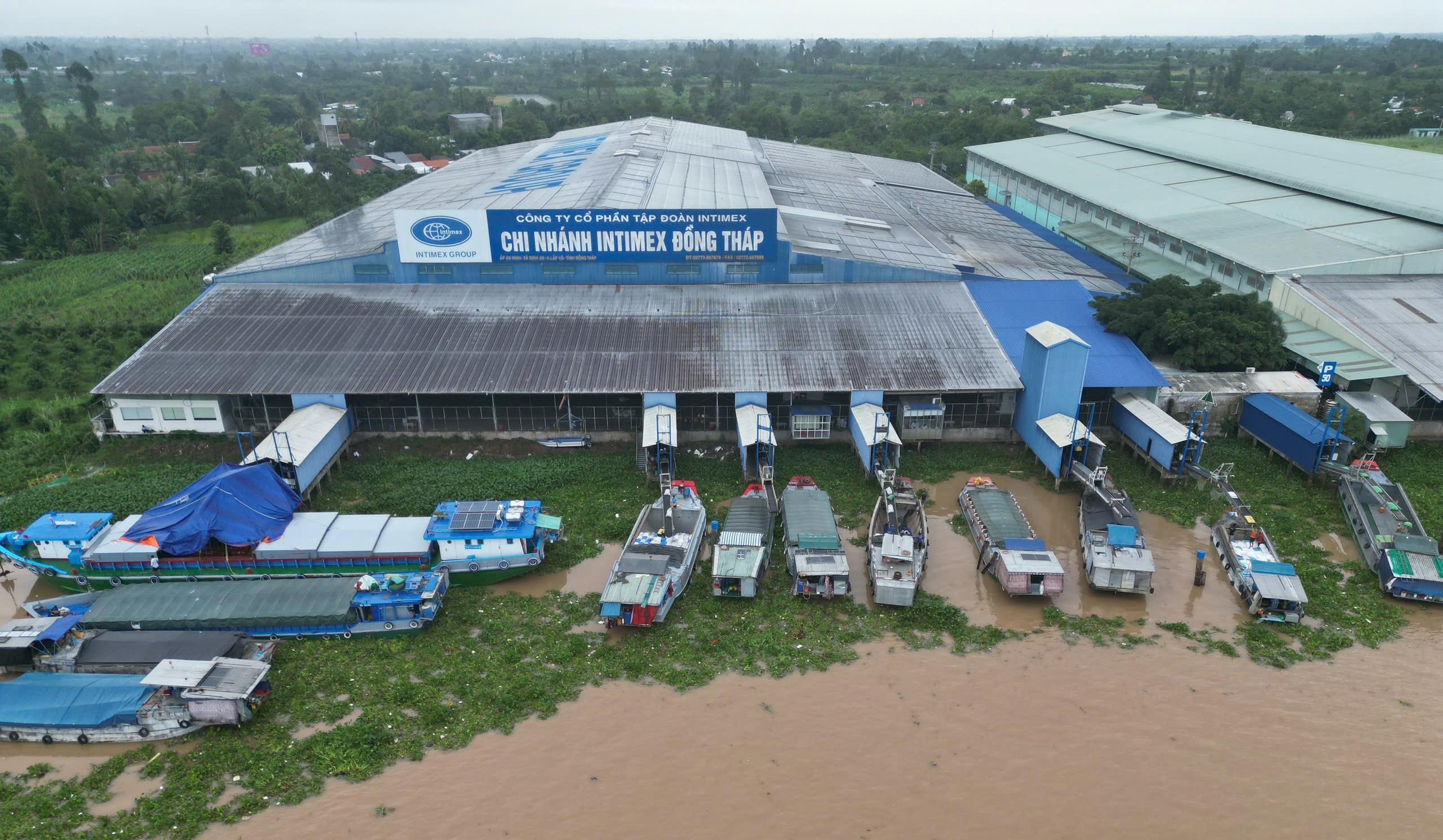 CN Dong Thap Intimex