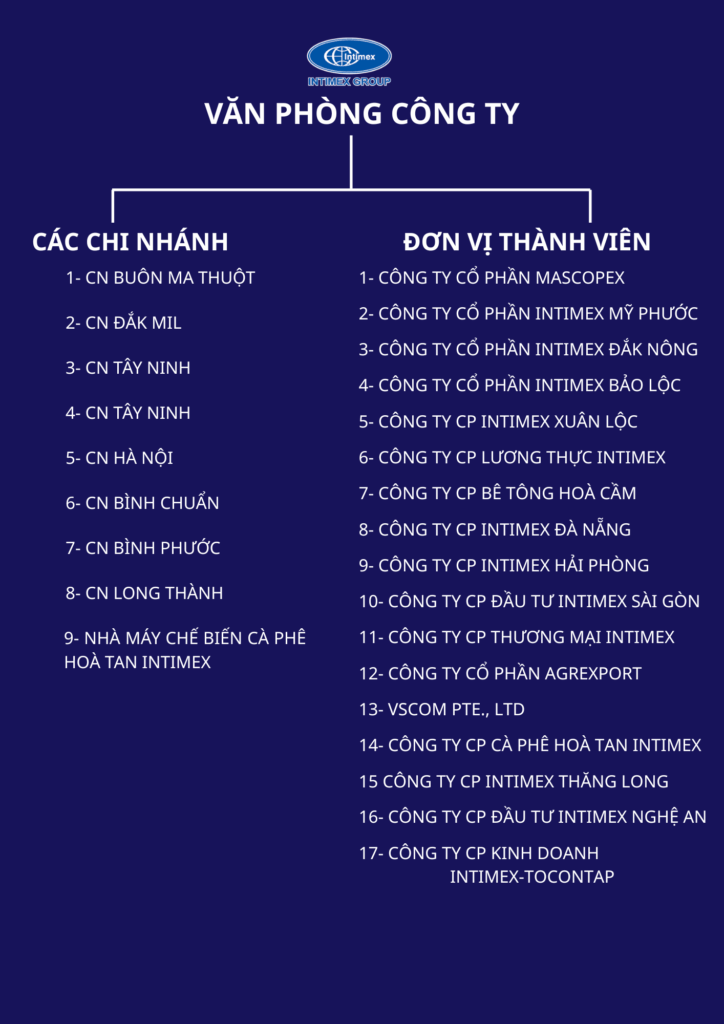 So do to chuc Intimex group