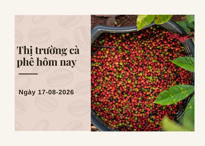 Intimex Coffee price today (1)
